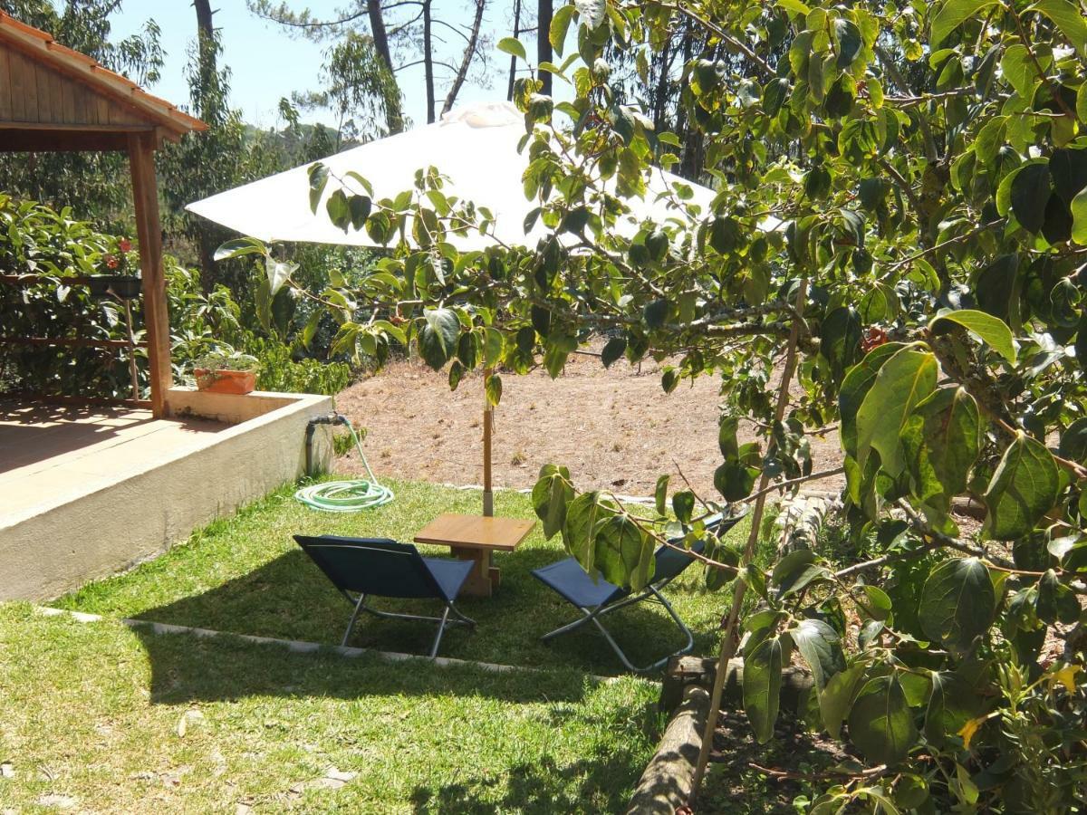 Villa Ecobosque Nadadouro Exterior foto
